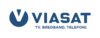 Logotyp_blue